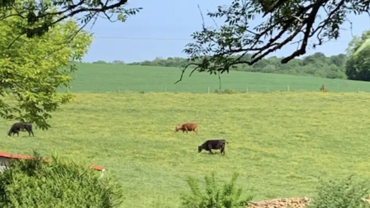 Photo of Others in Bulson