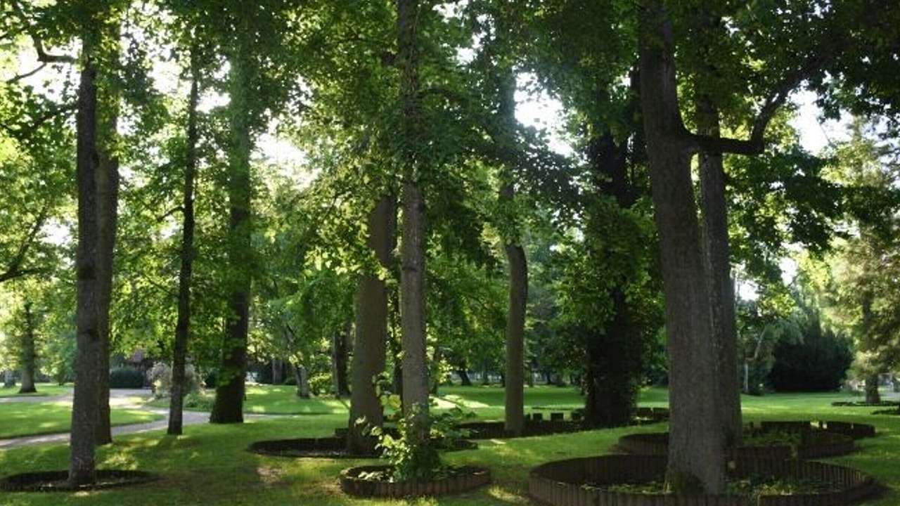 Photo of Outdoor in Vittel