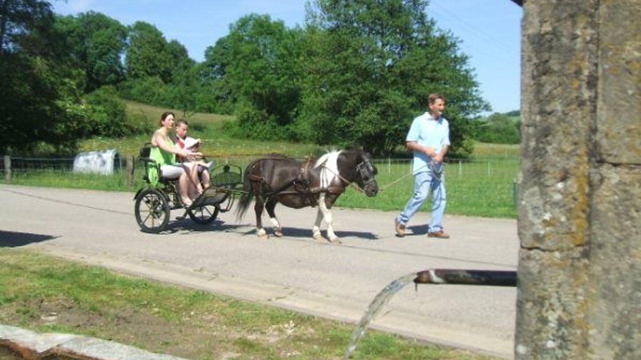 Photo of Others in Esley