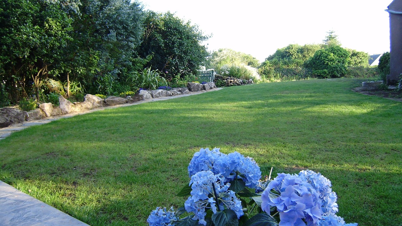 Photo of Outdoor in Lannion