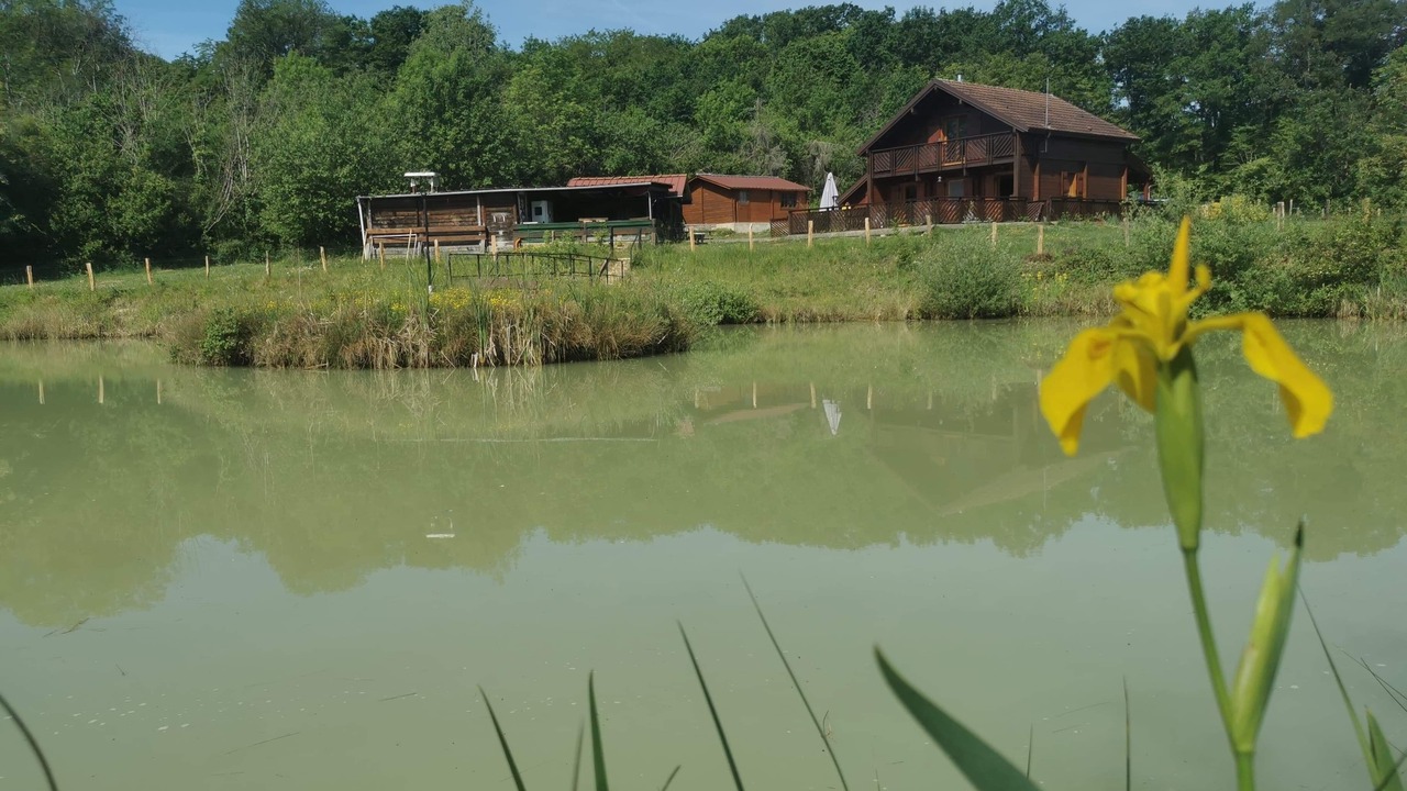 Photo of Outdoor in Wassy