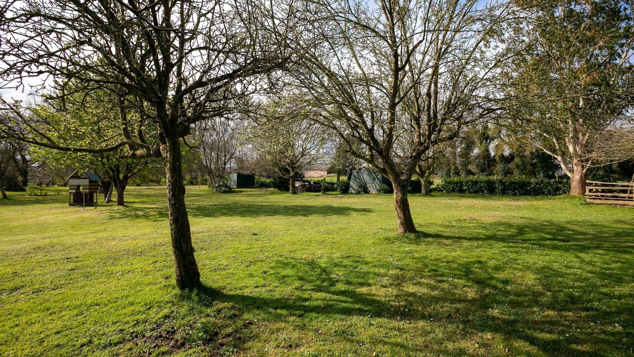 Photo of Outdoor in Prat