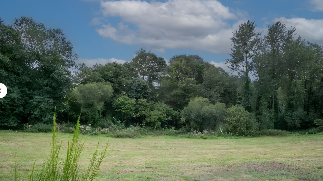 Photo of Others in Plouegat-Moysan