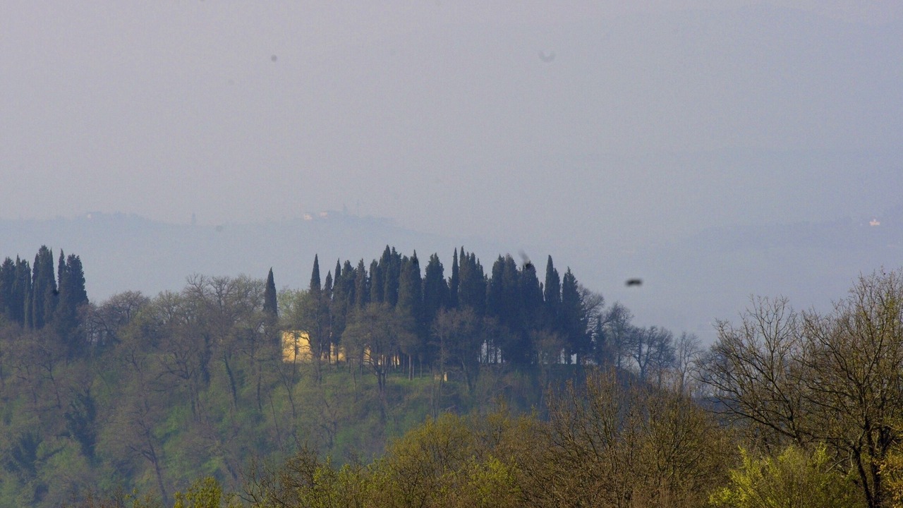 Photo of Others in Quillan