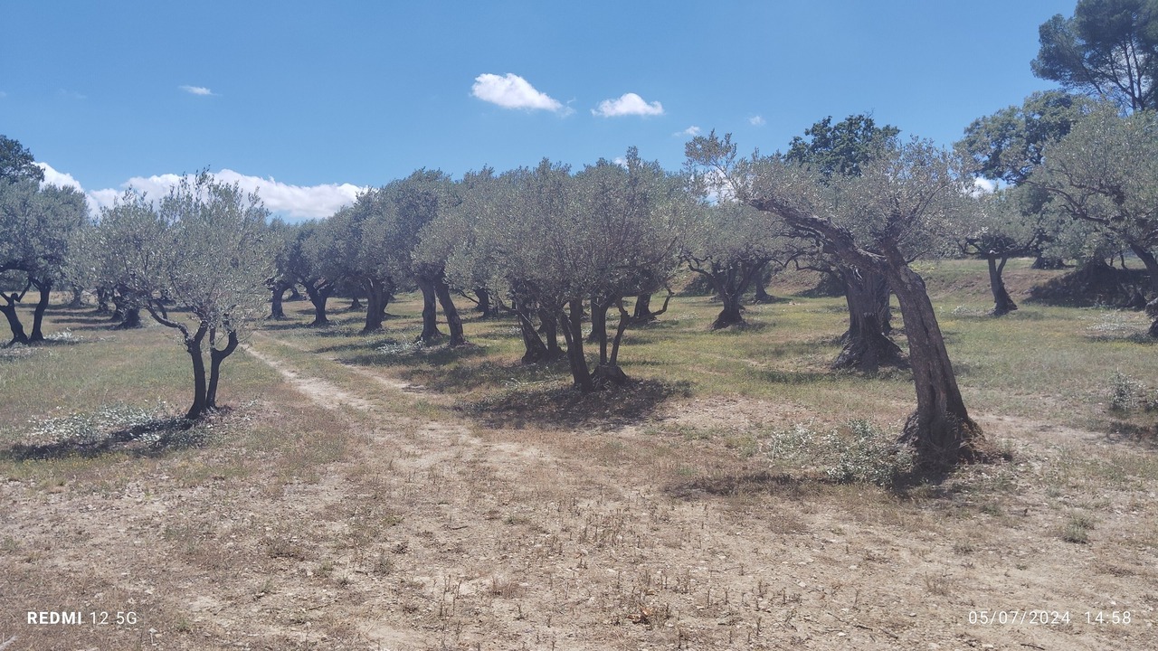 Photo of Others in Montferrat