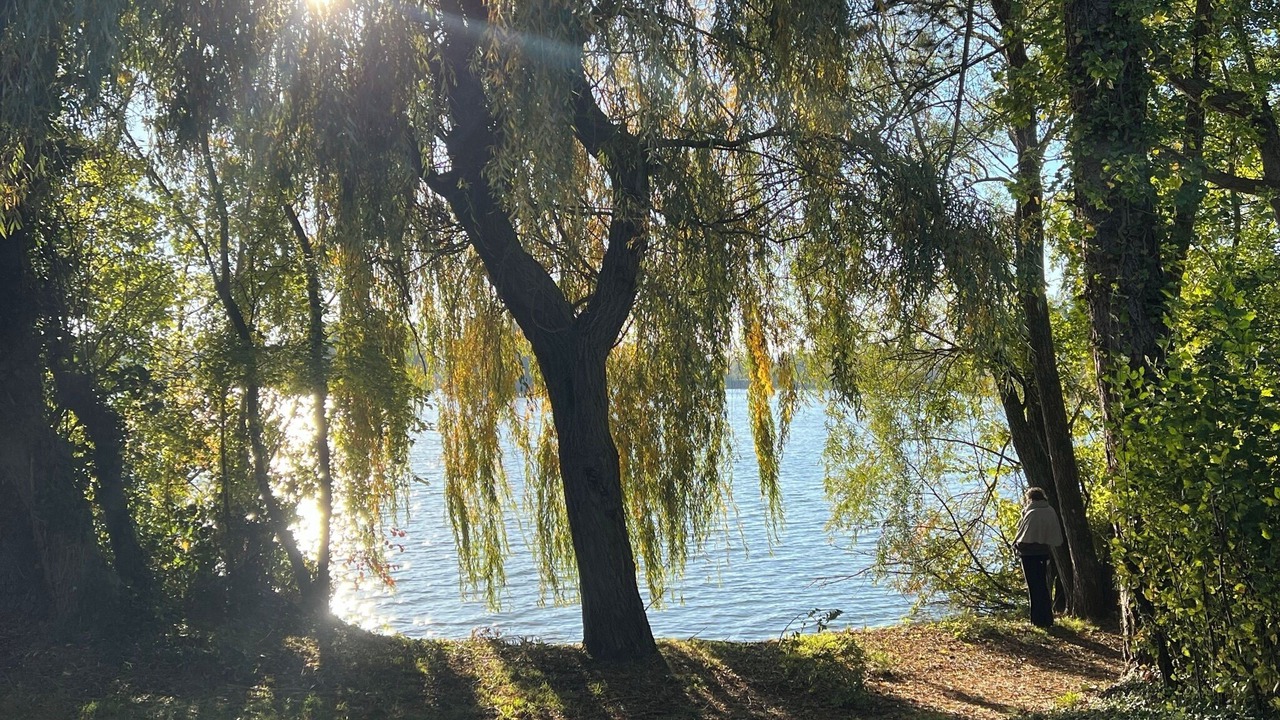 Photo of Others in Vinneuf