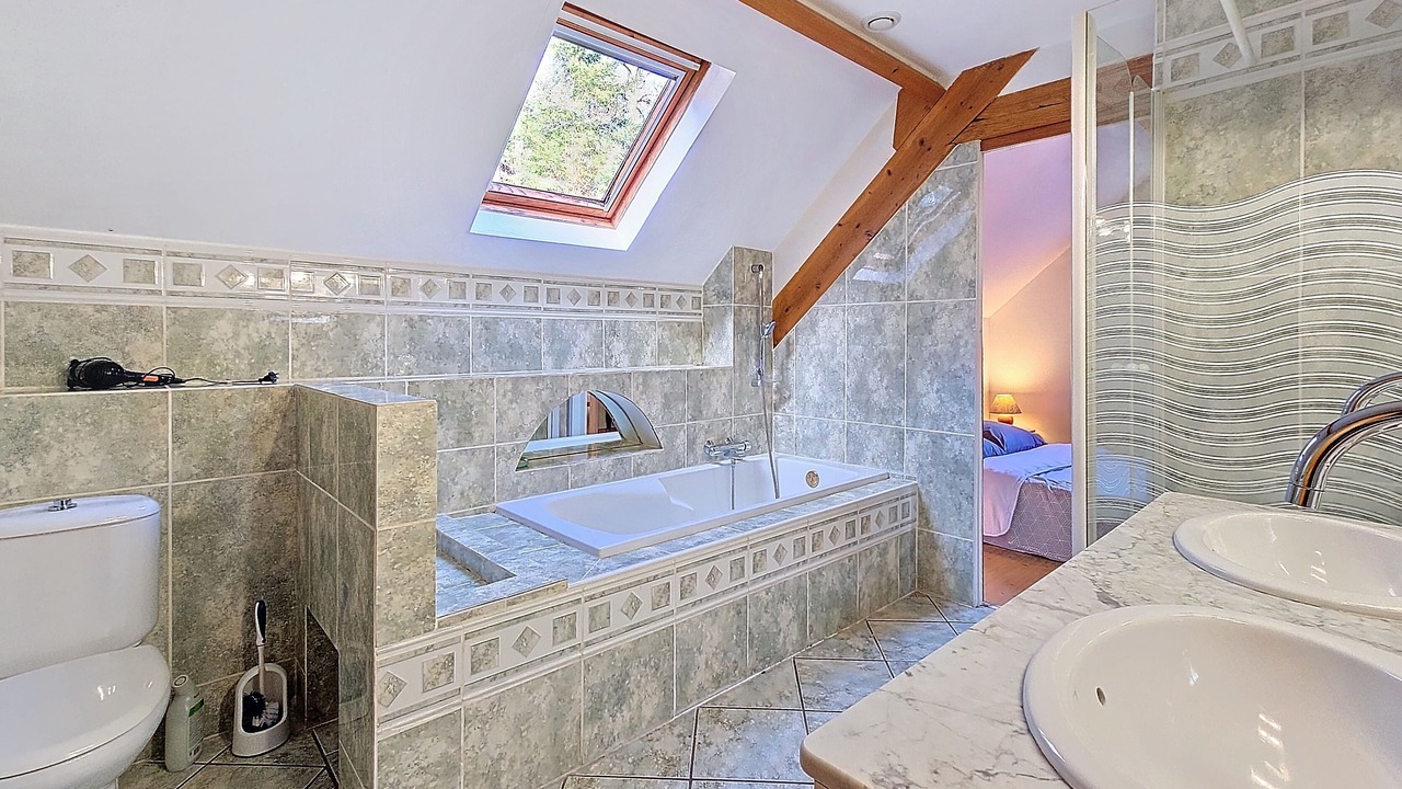 Photo of Bathroom in Pareac
