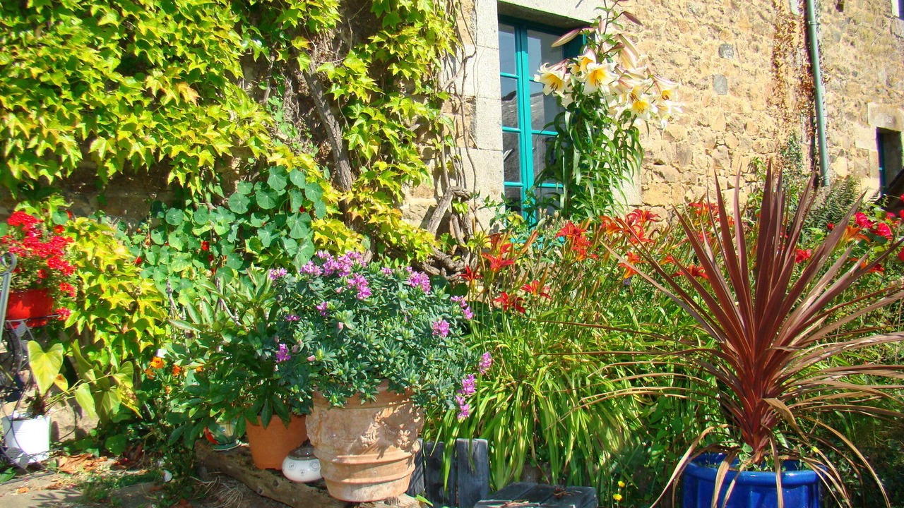Photo of Outdoor in Saint-Donan