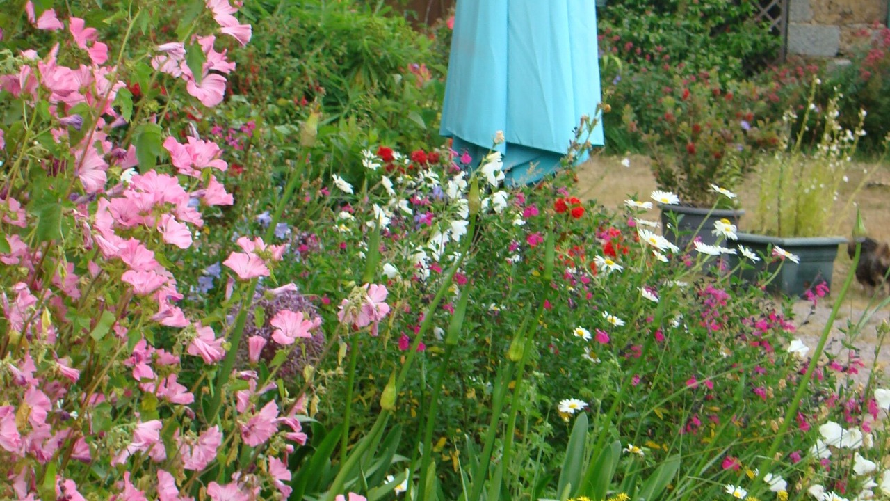 Photo of Outdoor in Saint-Donan