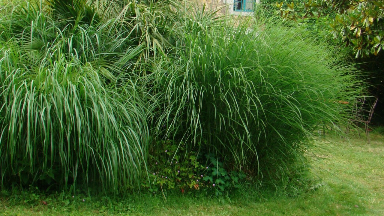 Photo of Outdoor in Saint-Donan