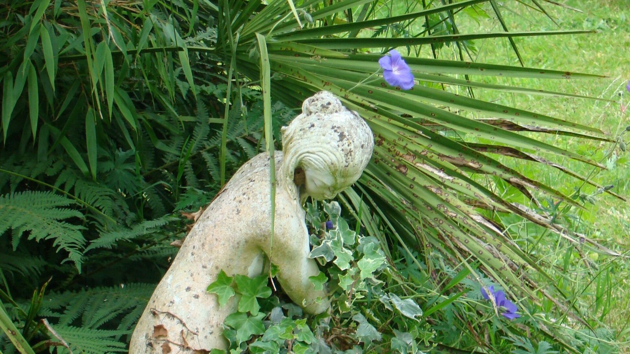 Photo of Outdoor in Saint-Donan