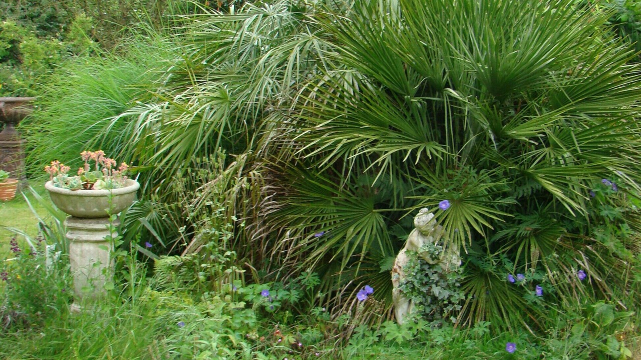 Photo of Outdoor in Saint-Donan