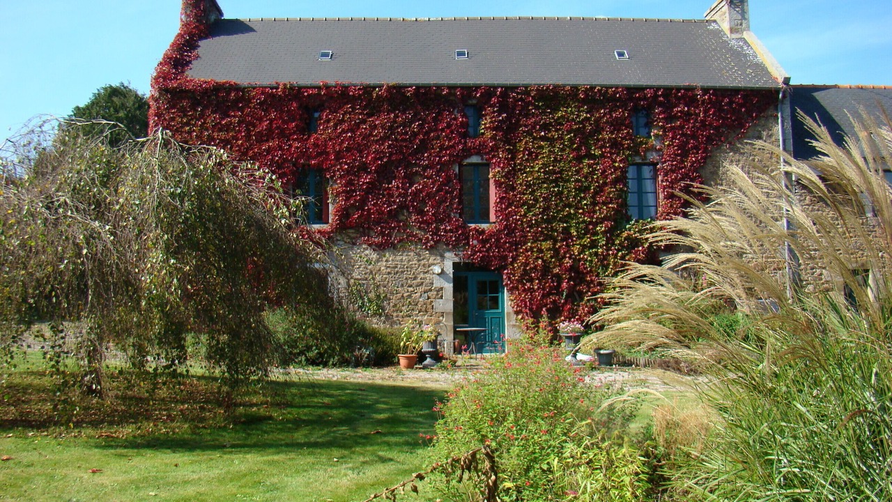 Photo of Outdoor in Saint-Donan