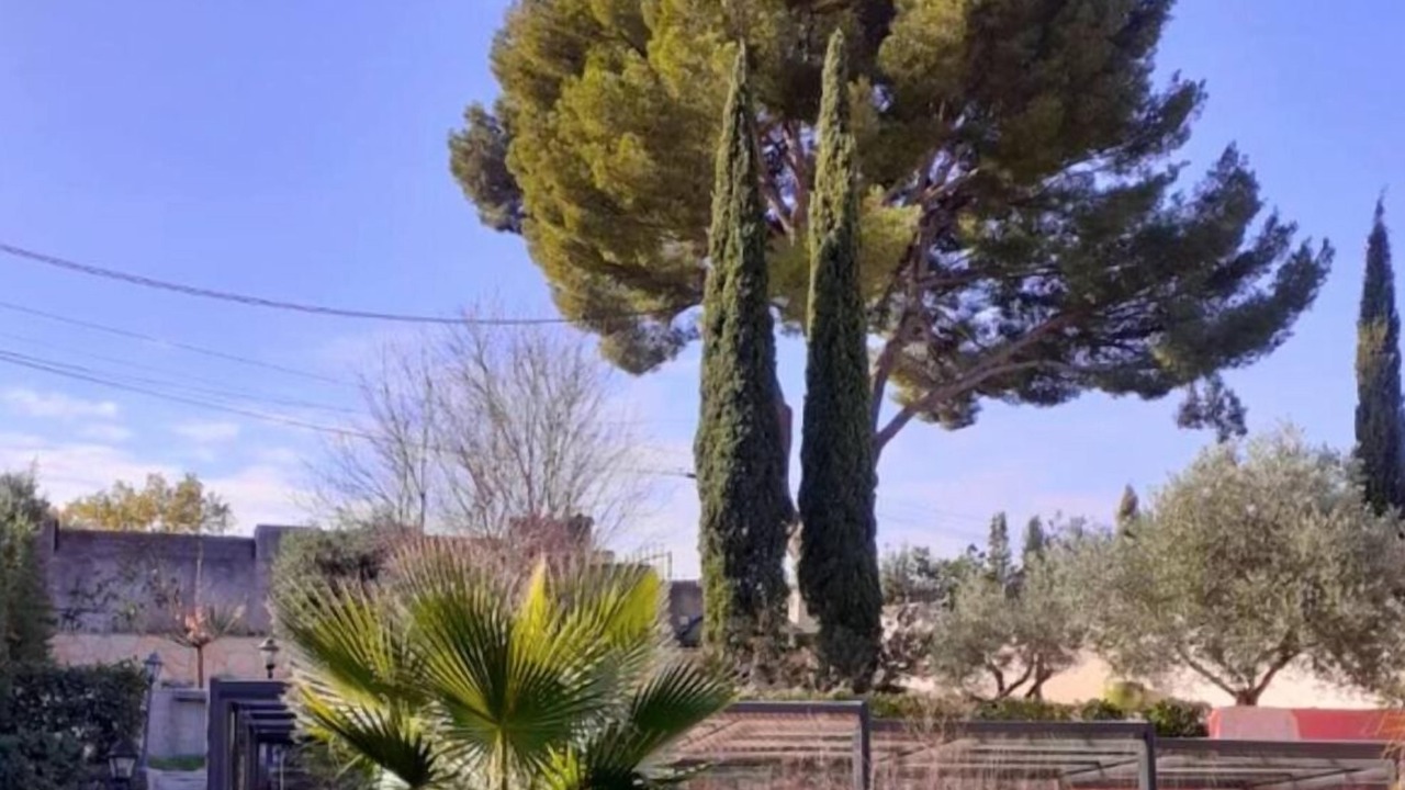 Photo of Others in Le Beausset