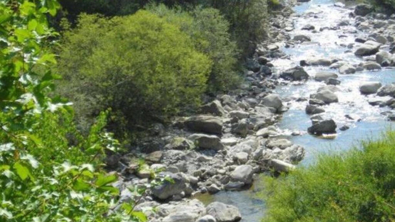Photo of Others in Allos