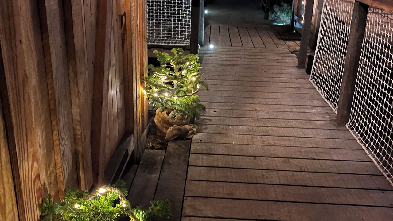 Photo of Outdoor in Mesnil Sous Les Cotes