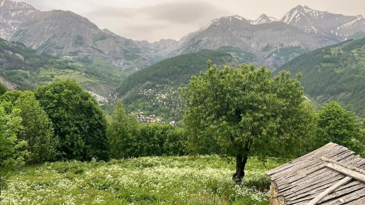 Photo of Others in Allos