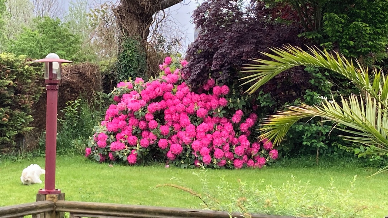Photo of Outdoor in Plouegat-Guerand