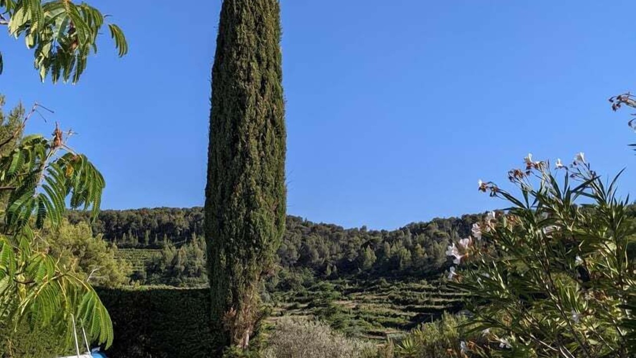 Photo of Outdoor in Le Beausset