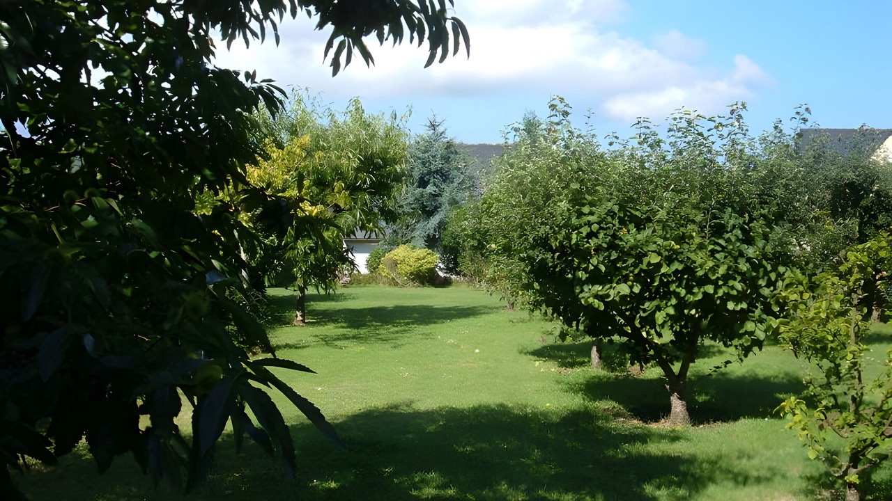 Photo of Outdoor in Cite