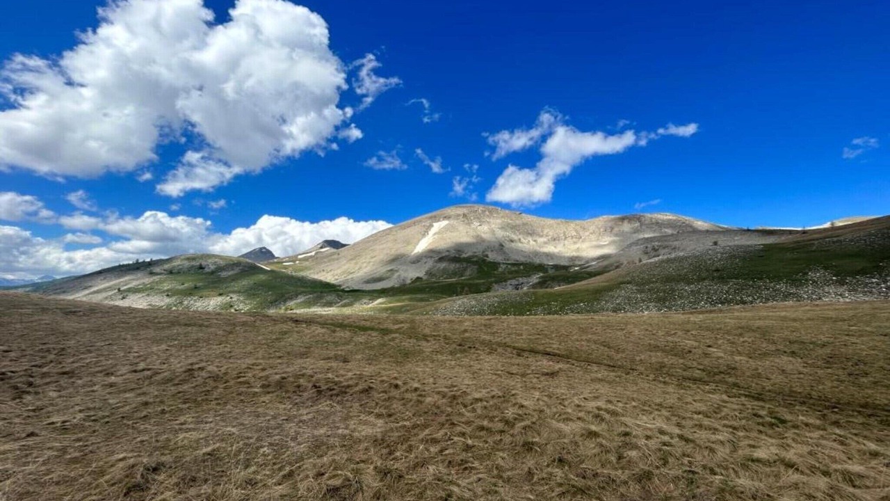 Photo of Others in Barcelonnette