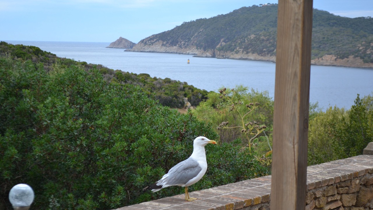 Photo of Others in Ile du Levant