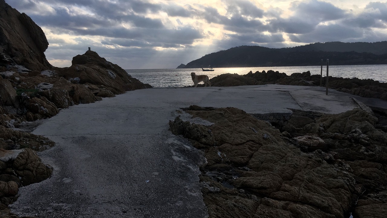 Photo of Others in Ile du Levant
