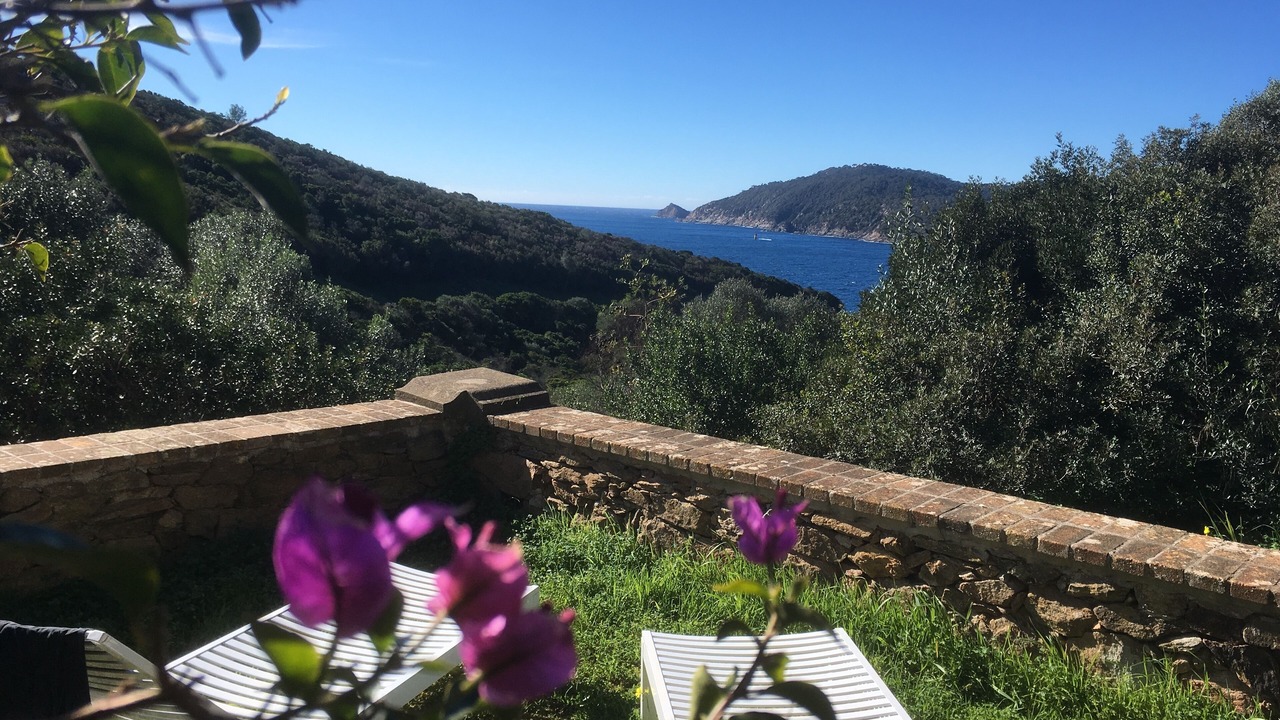 Photo of Outdoor in Ile du Levant