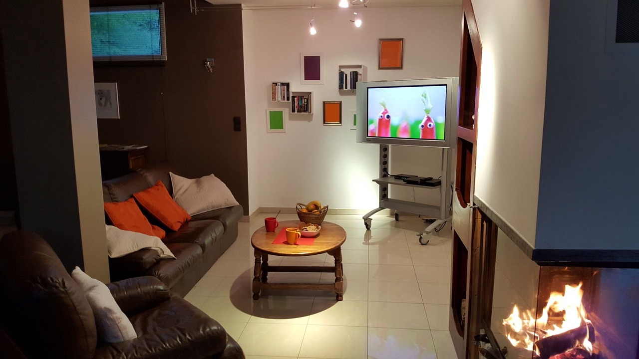 Photo of Livingroom in Barcelonnette