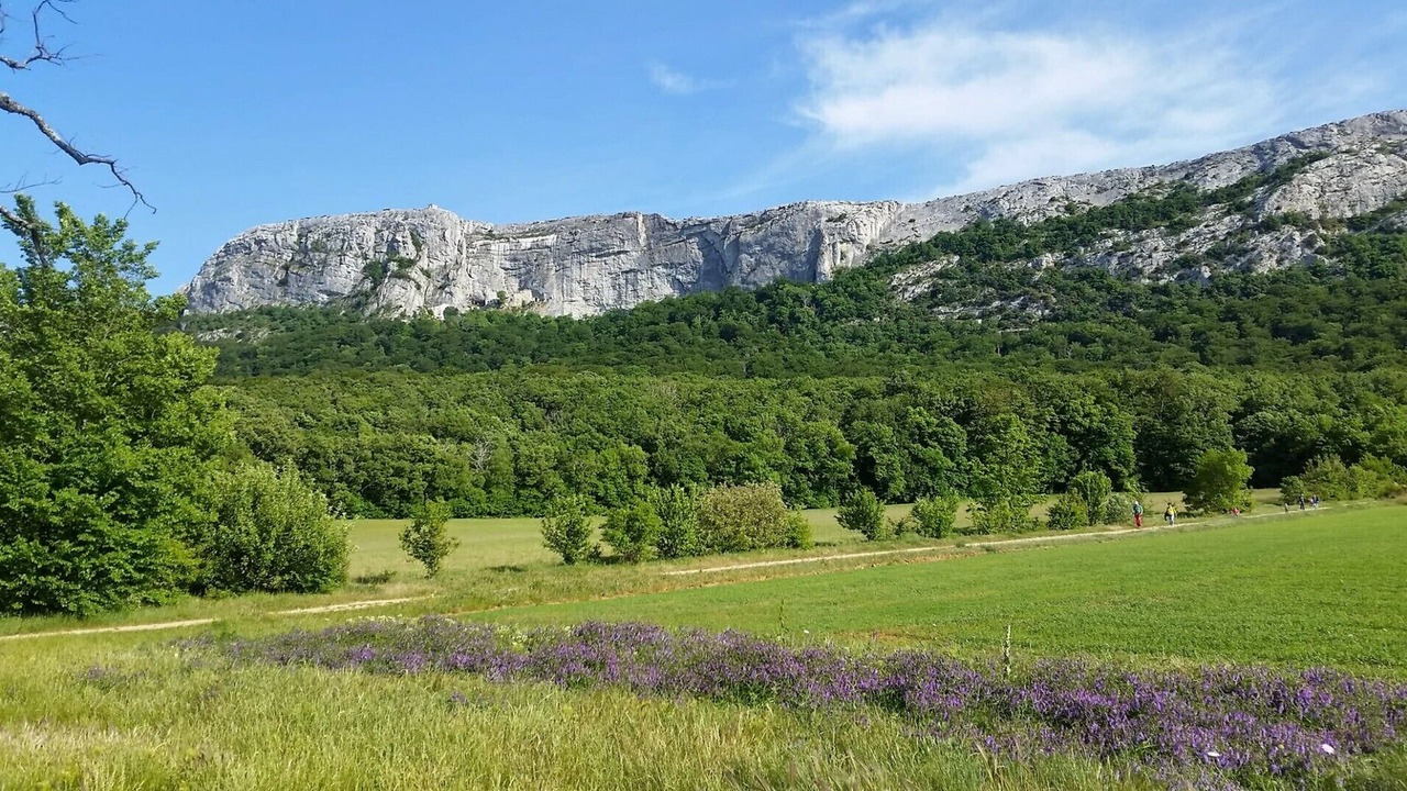 Photo of Others in Plan-d'Aups-Sainte-Baume