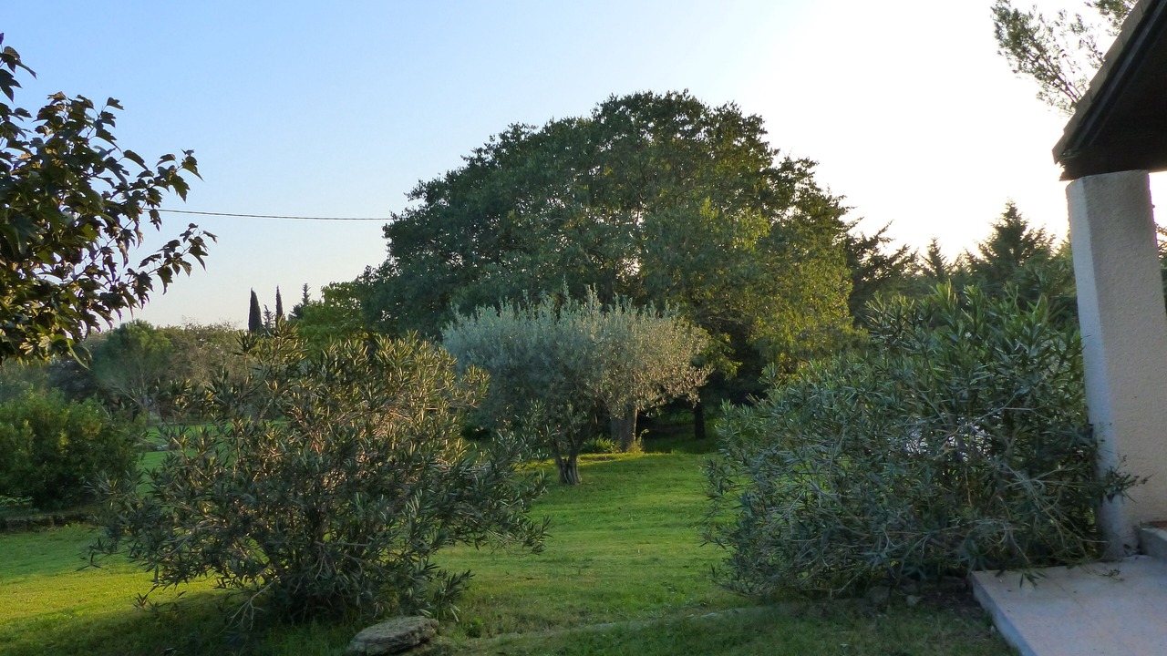 Photo of Outdoor in Uzes