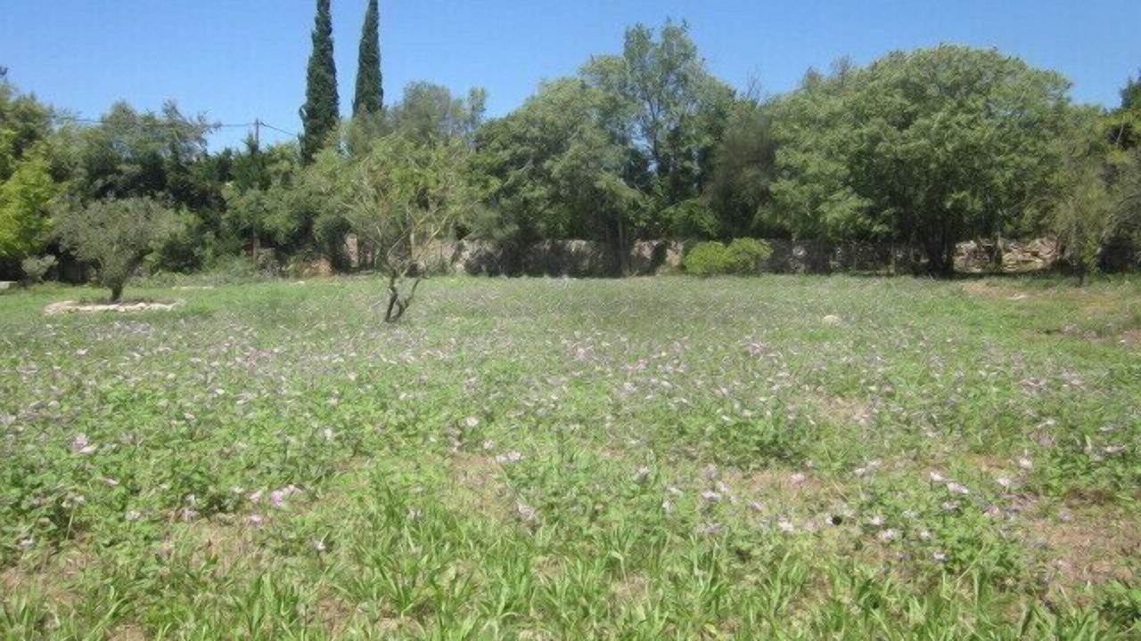 Photo of Outdoor in Uzes