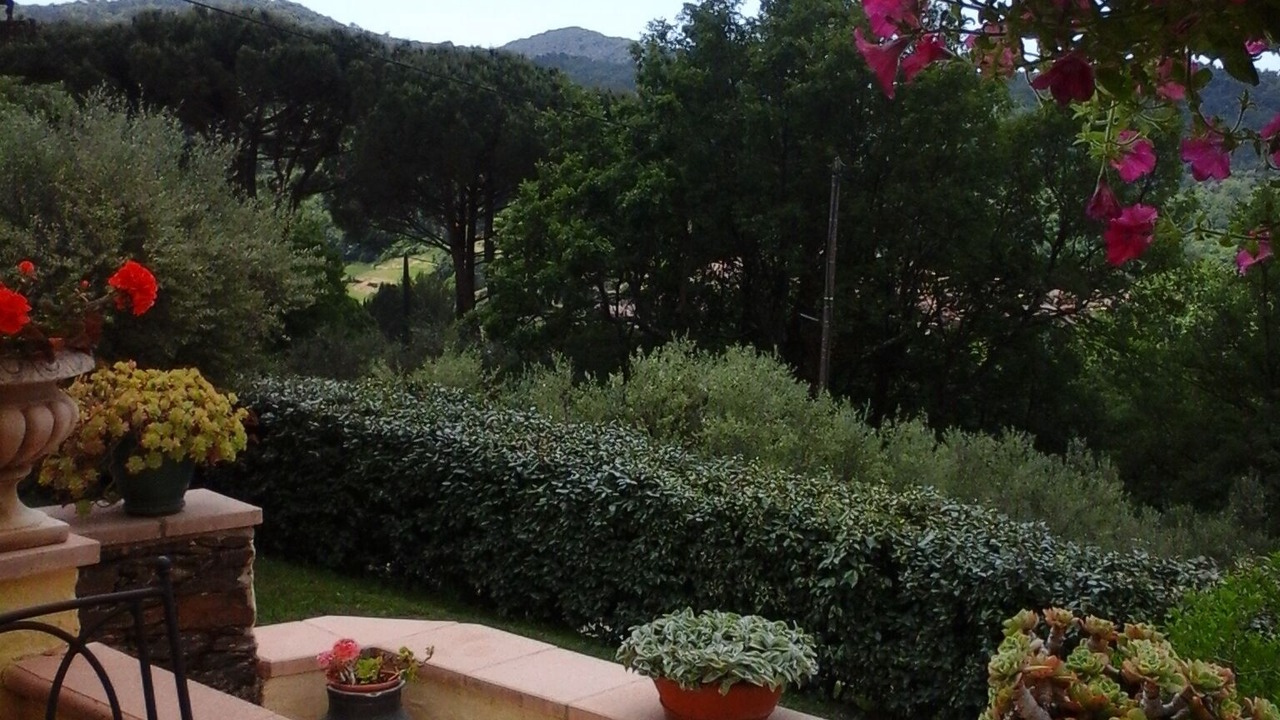 Photo of Outdoor in Collobrieres