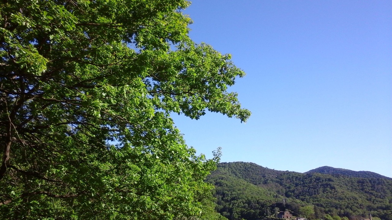 Photo of Outdoor in Collobrieres