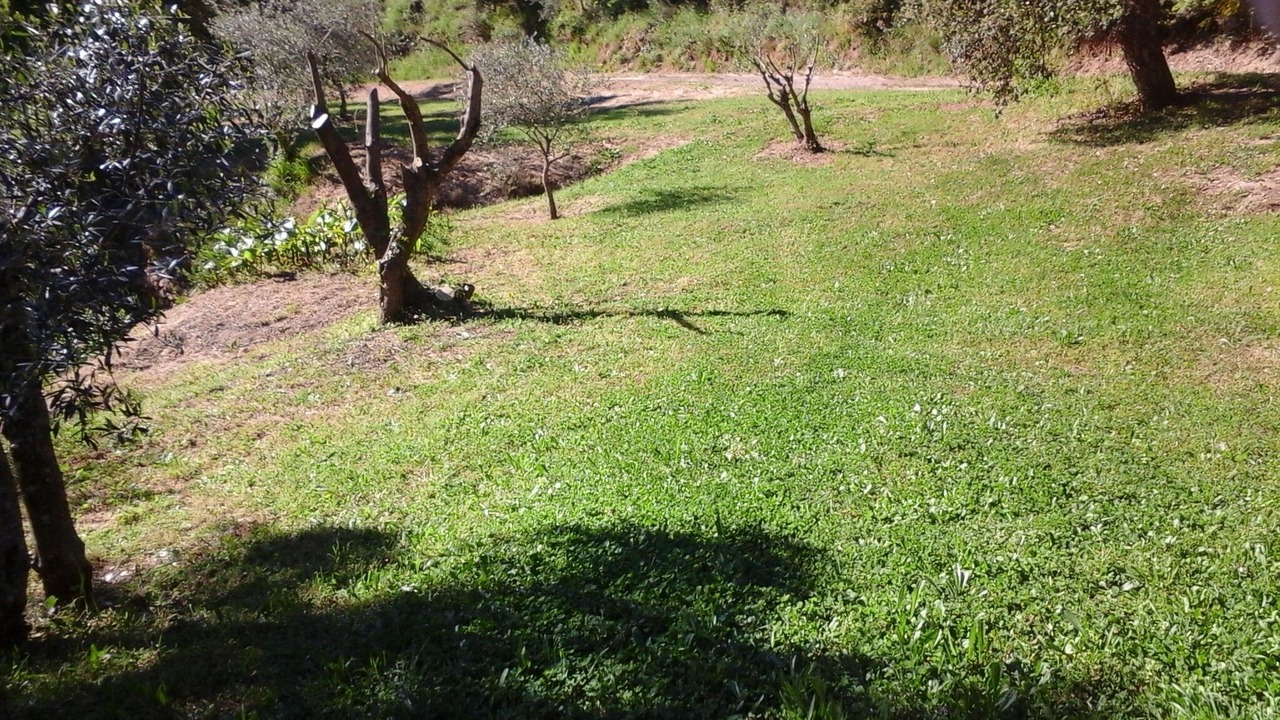 Photo of Outdoor in Collobrieres