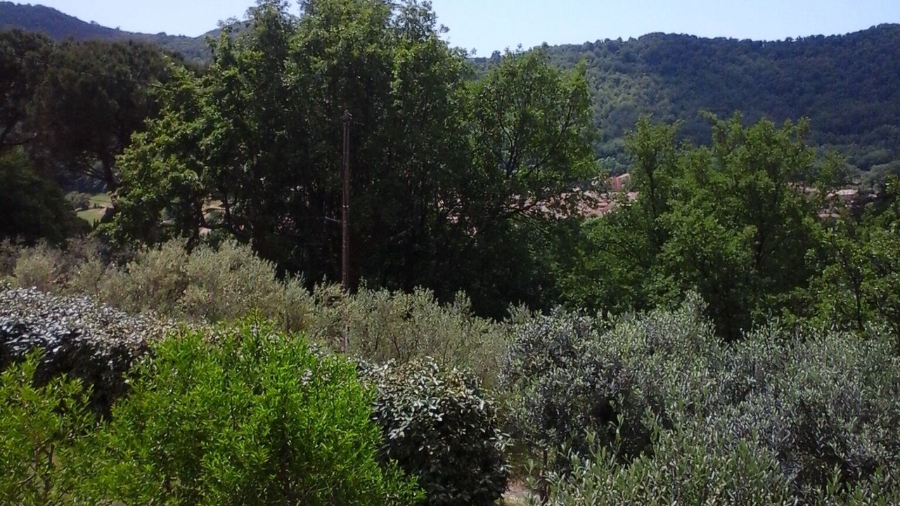 Photo of Outdoor in Collobrieres
