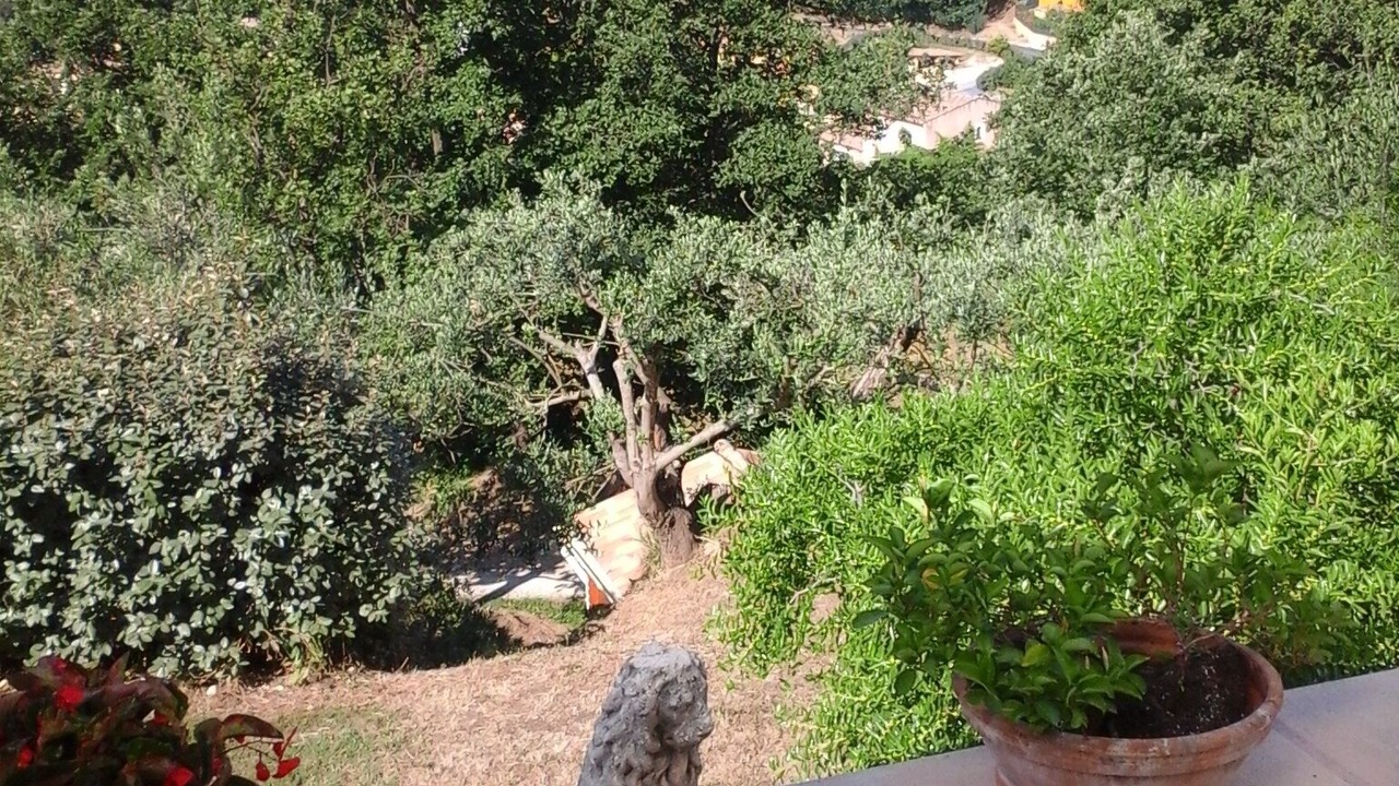Photo of Outdoor in Collobrieres