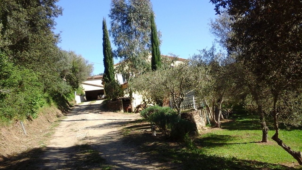 Photo of Outdoor in Collobrieres