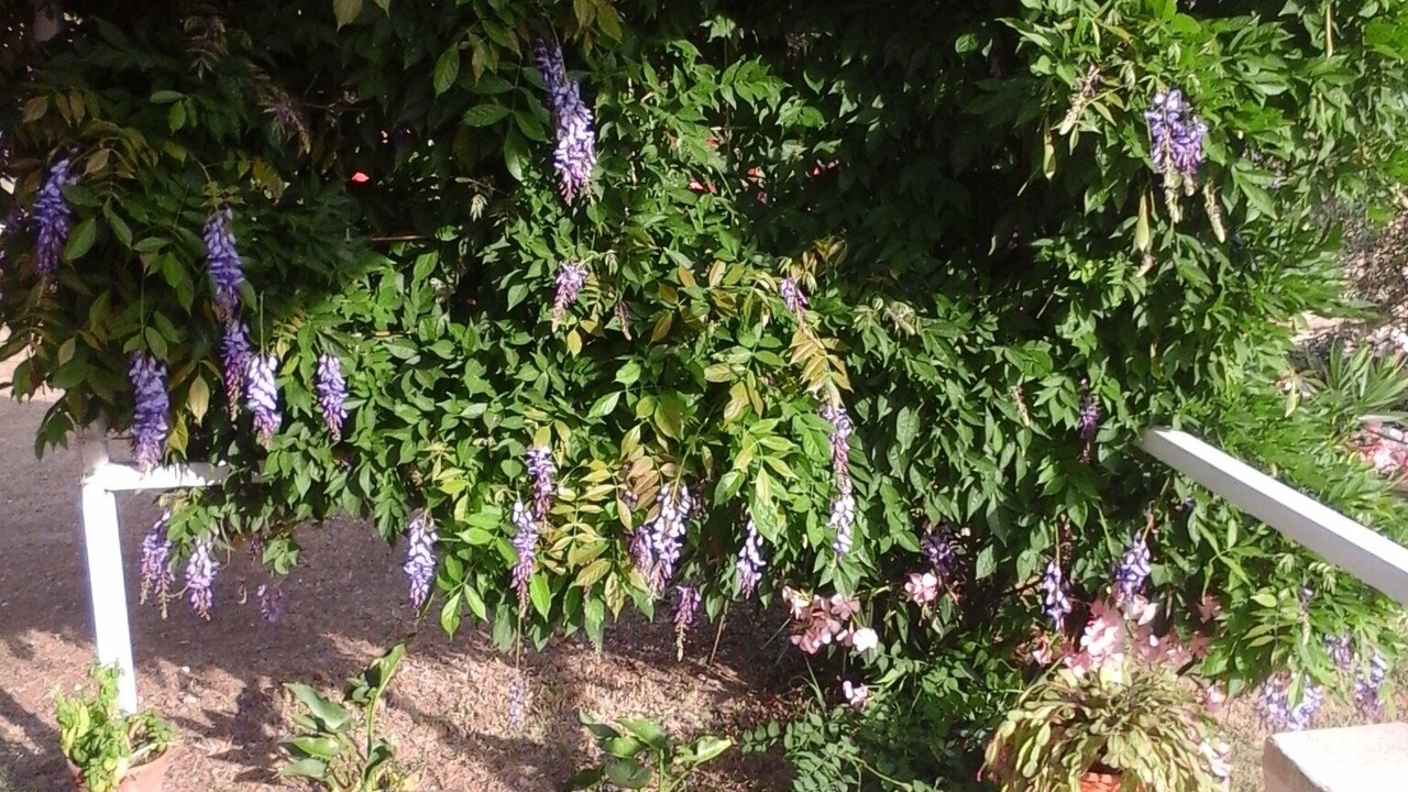 Photo of Outdoor in Collobrieres