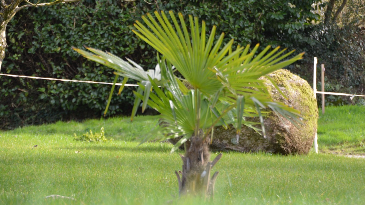 Photo of Outdoor in Saint-Gilles-Pligeaux