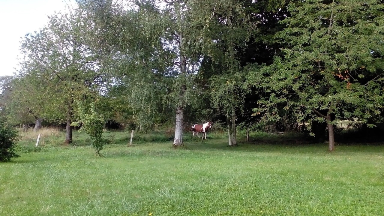 Photo of Outdoor in Droyes