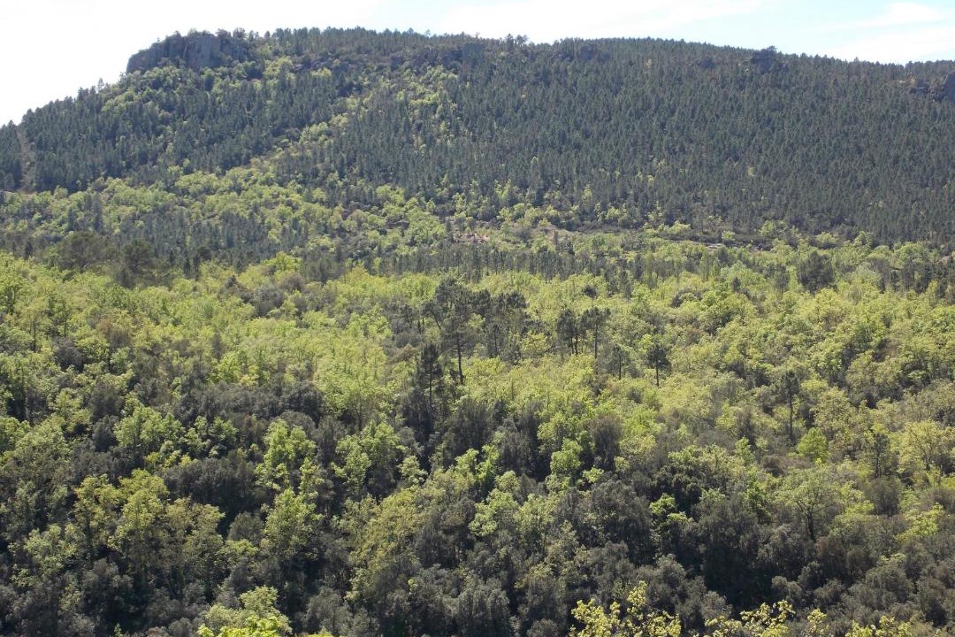 Photo of Others in Bagnols-en-Foret