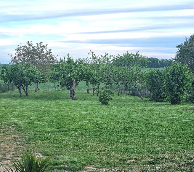 Photo of Others in Montceaux-les-Provins