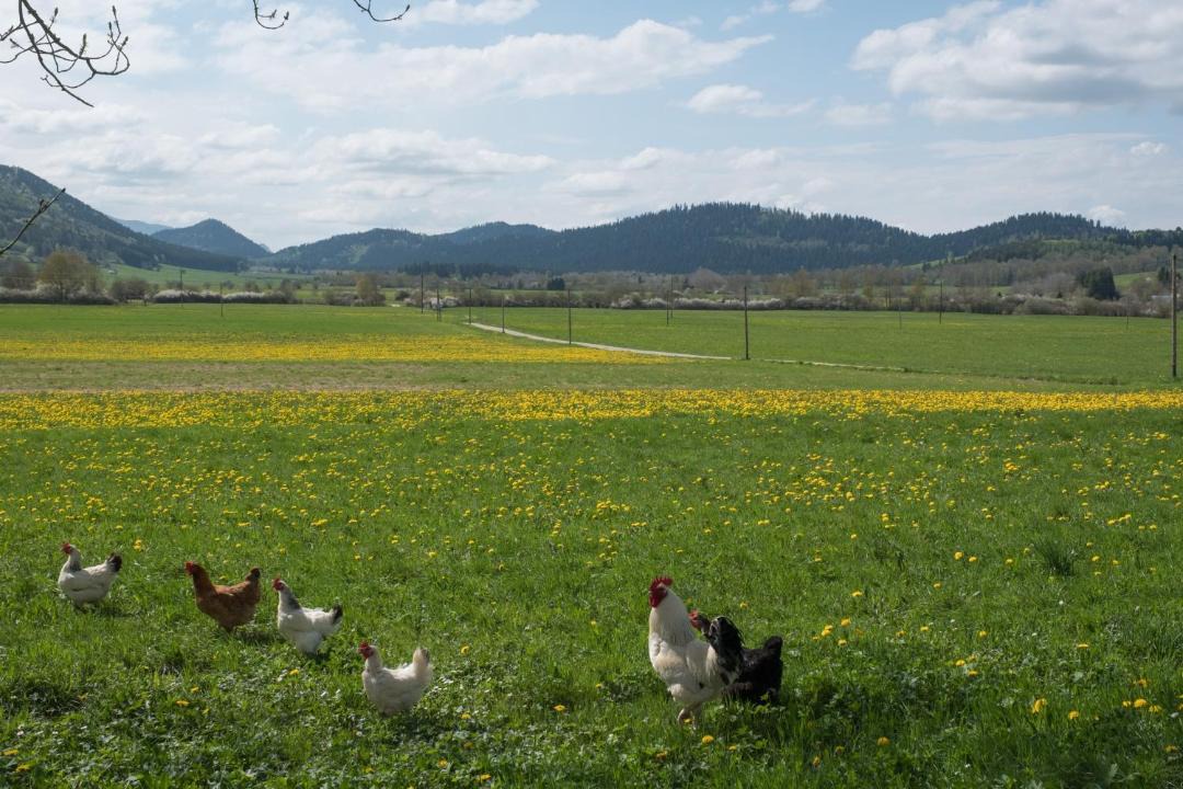 Photo of Others in Espezel