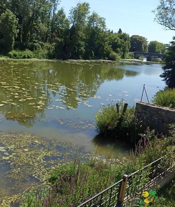 Photo of Others in Bazoilles-sur-Meuse
