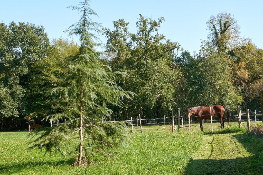 Photo of Others in Eyliac