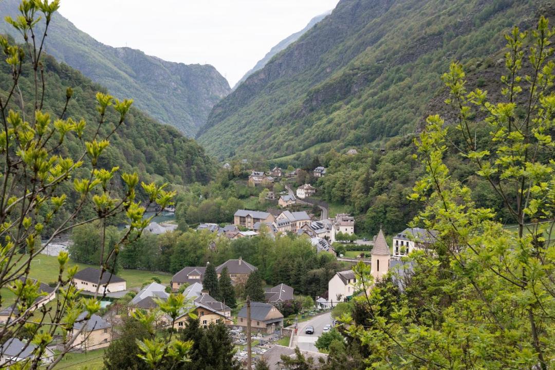 Photo of Others in Gedre