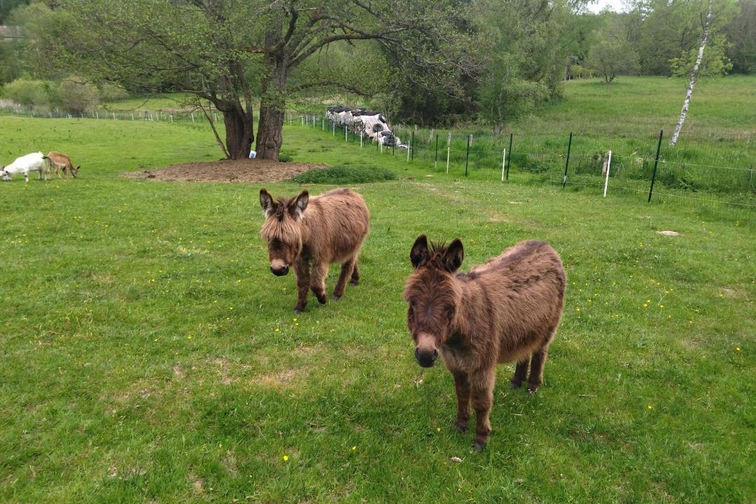 Photo of Others in Mesnil Sous Les Cotes
