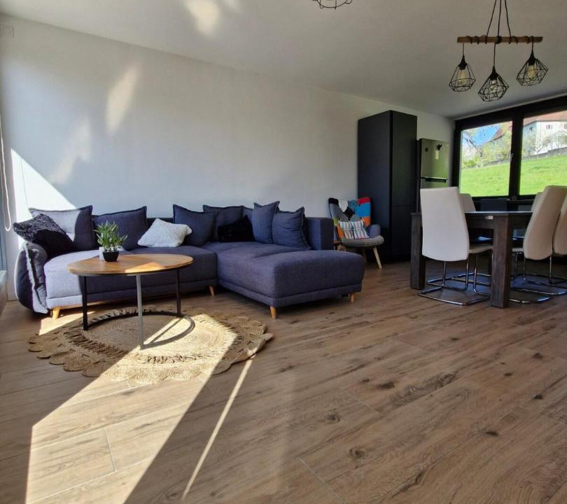Photo of Livingroom in Thyez