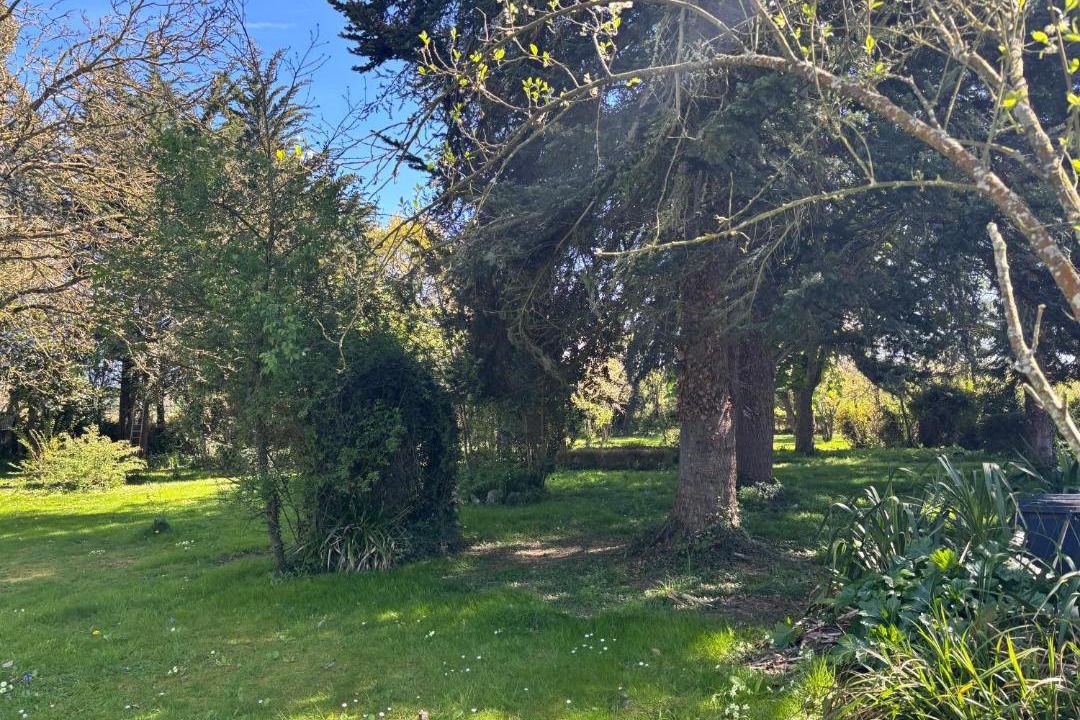 Photo of Outdoor in Tremeur